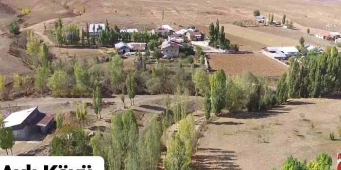 Sivas Aylı Köyü Resimleri