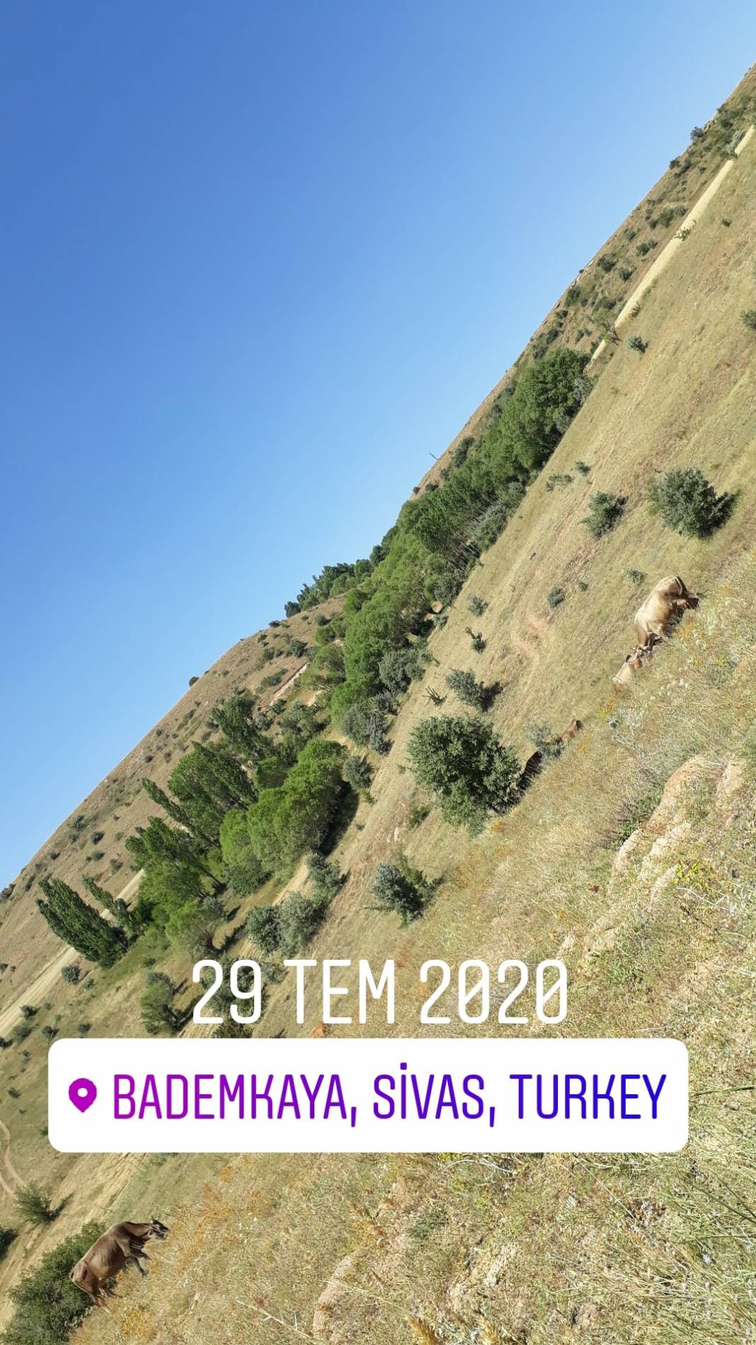 Sivas Bademkaya Köyü Resimleri 5