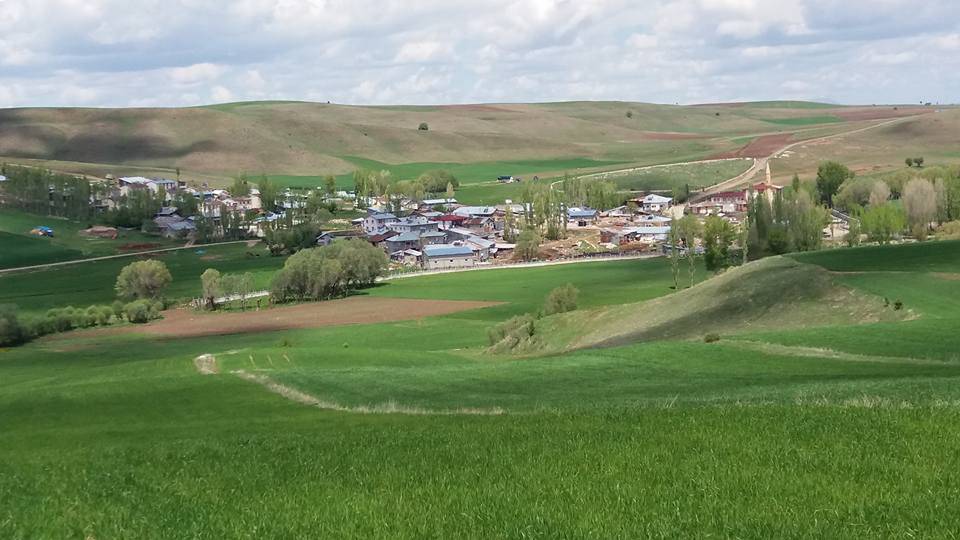 Sivas Başsöğüt Köyü Resimleri 5