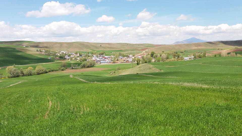 Sivas Başsöğüt Köyü Resimleri 8