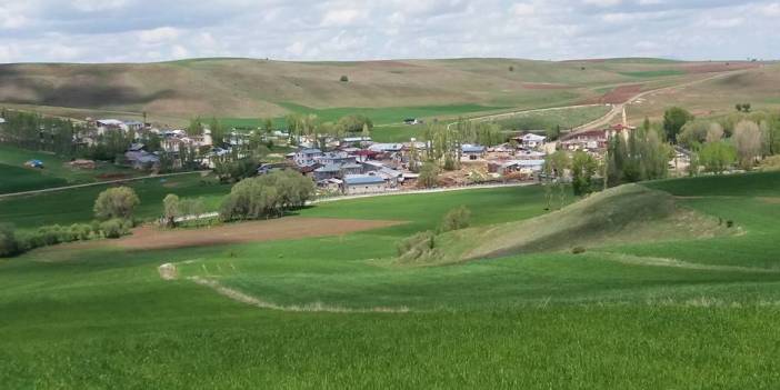 Sivas Başsöğüt Köyü Resimleri