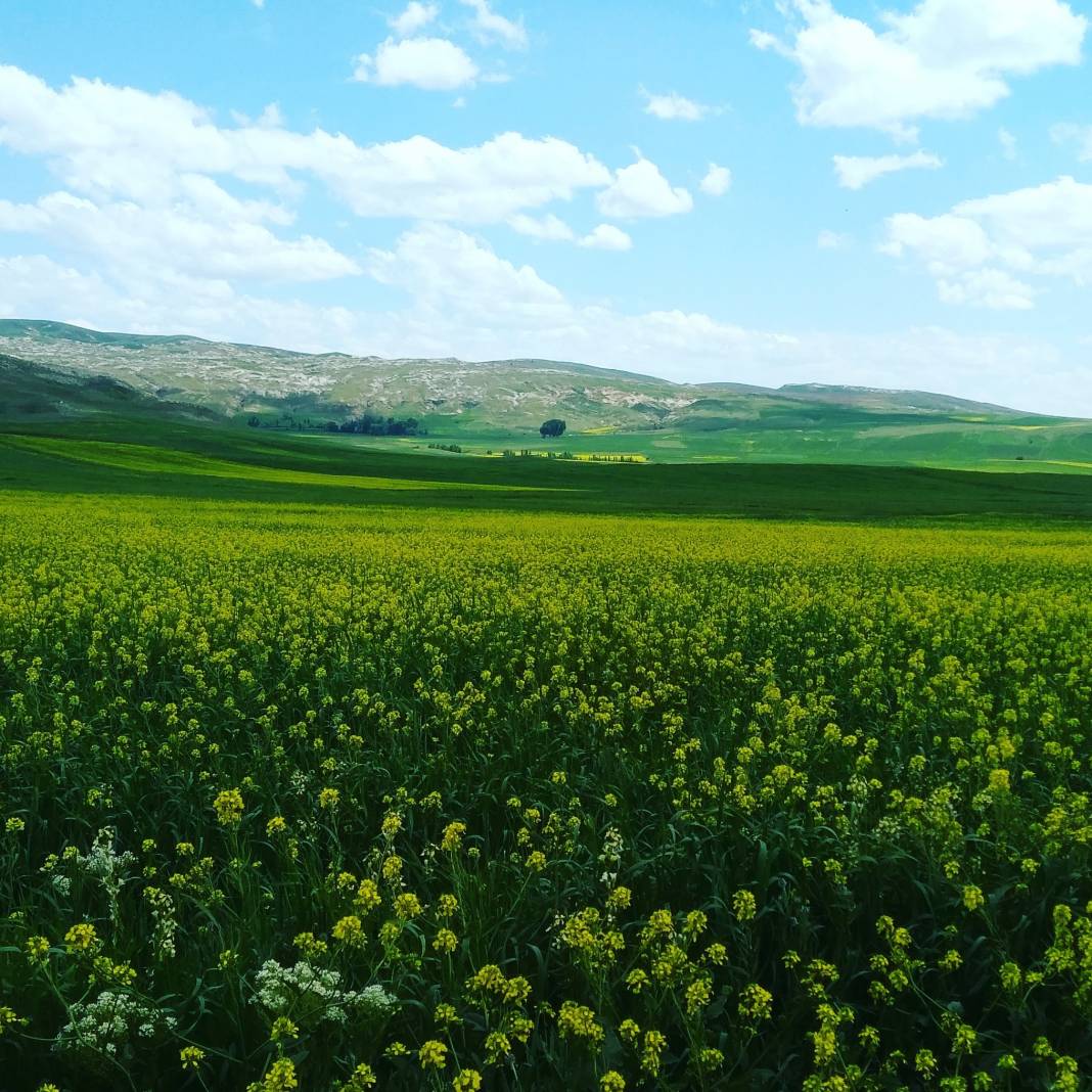 Sivas Bedirli Köyü Resimleri 6