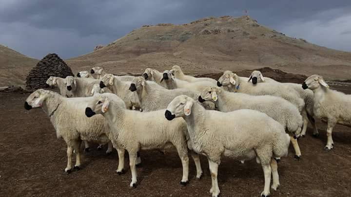 Sivas Beştepe Köyü Resimleri 1