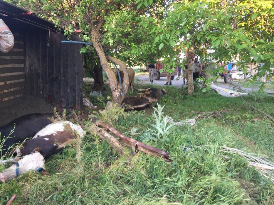 Sivas Beştepe Köyü Resimleri 6