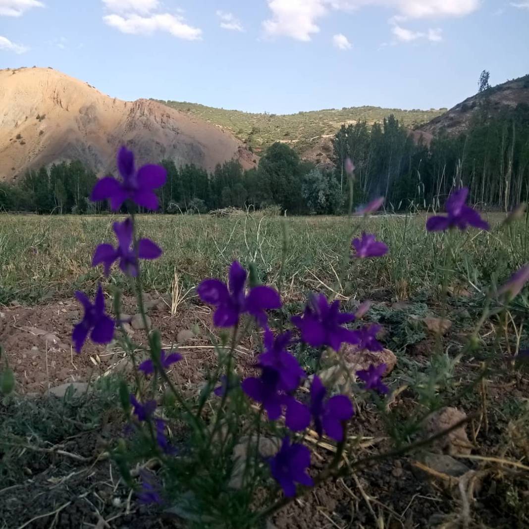 Sivas Beypınarı Köyü Resimleri 4