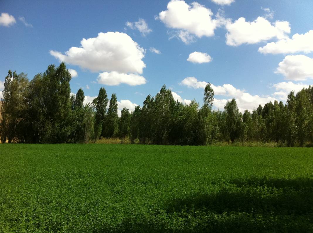 Sivas Çallı Köyü Resimleri 6