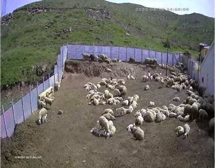 Sivas Çatalkaya Köyü Resimleri 2