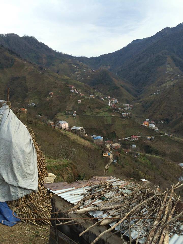Doğankent Çatak Köyü Resimleri 10