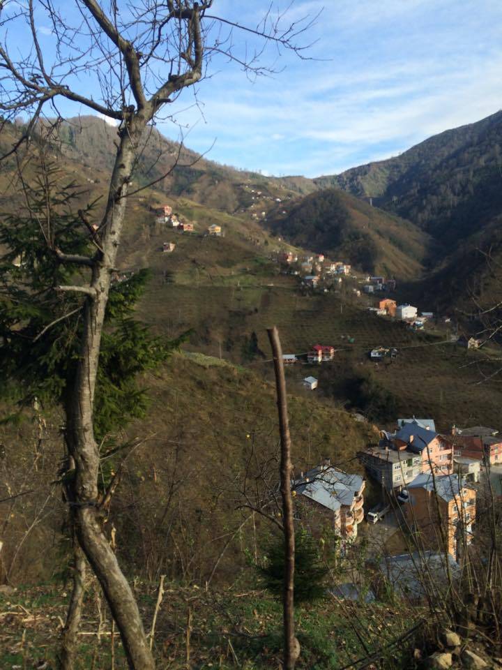 Doğankent Çatak Köyü Resimleri 16