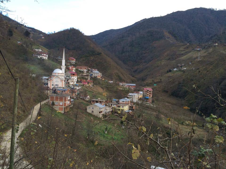 Doğankent Çatak Köyü Resimleri 18