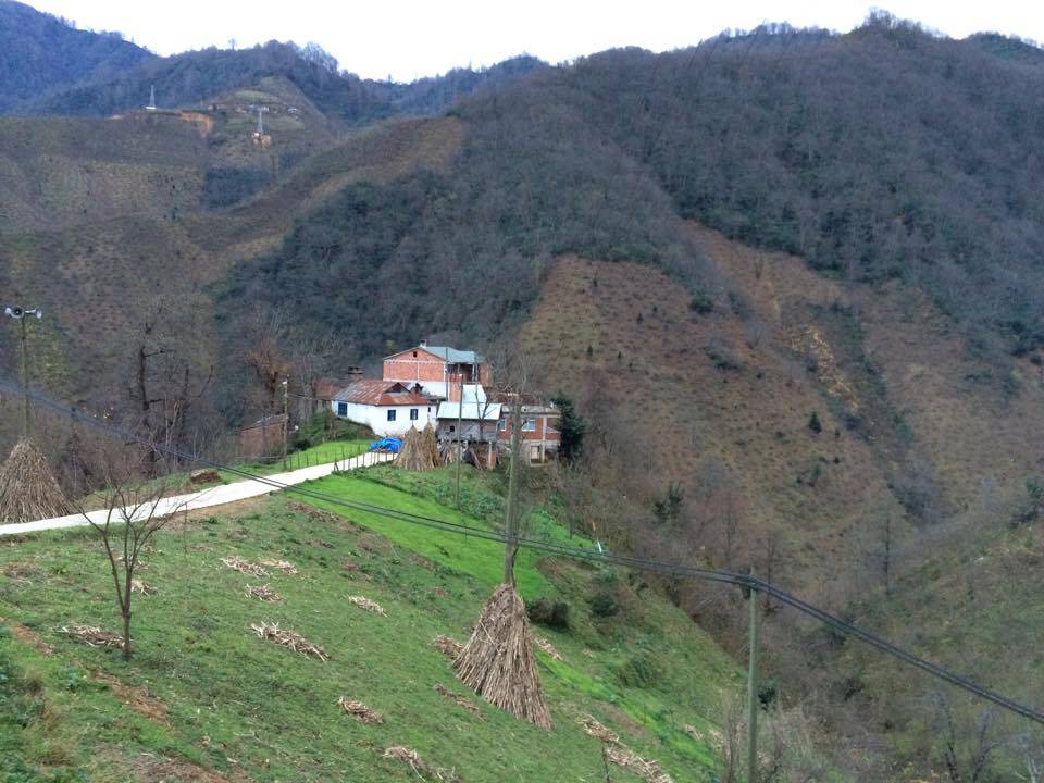 Doğankent Çatak Köyü Resimleri 19