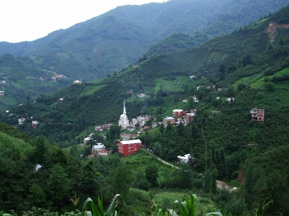 Doğankent Çatak Köyü Resimleri 22