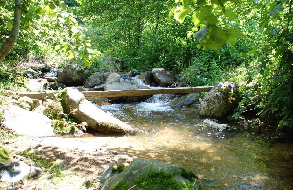 Doğankent Çatak Köyü Resimleri 25