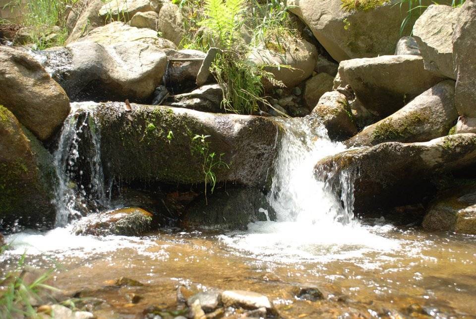 Doğankent Çatak Köyü Resimleri 26