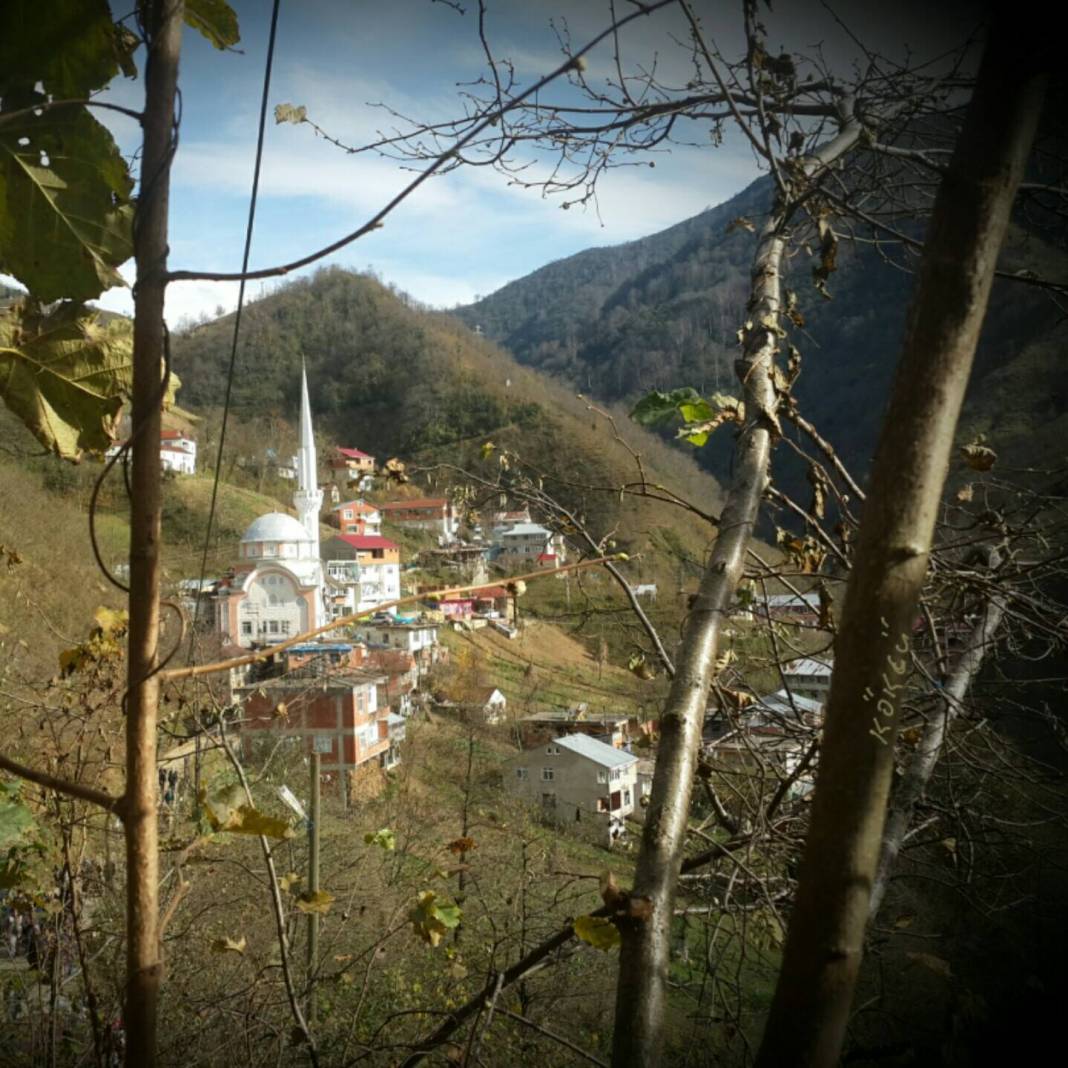 Doğankent Çatak Köyü Resimleri 27