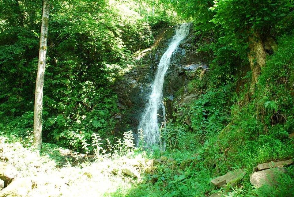 Doğankent Çatak Köyü Resimleri 28