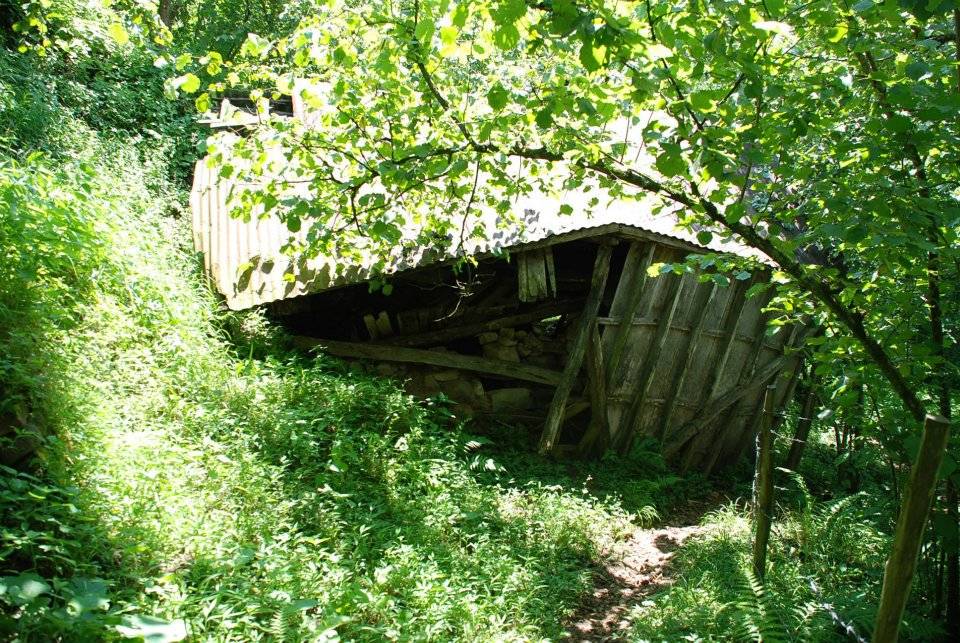Doğankent Çatak Köyü Resimleri 29