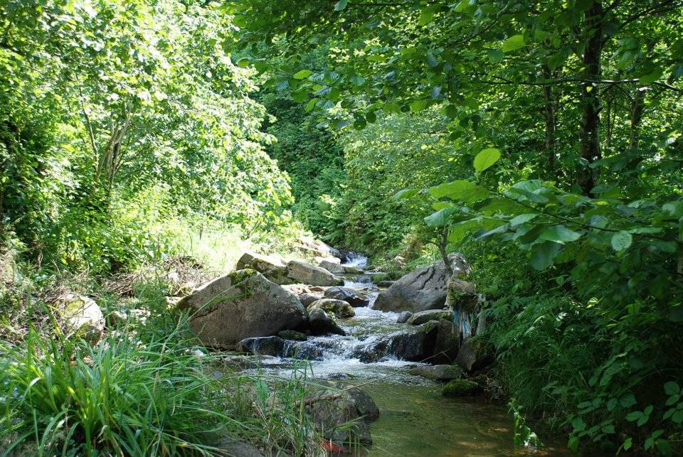 Doğankent Çatak Köyü Resimleri 30
