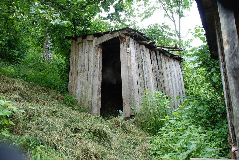 Doğankent Çatak Köyü Resimleri 33
