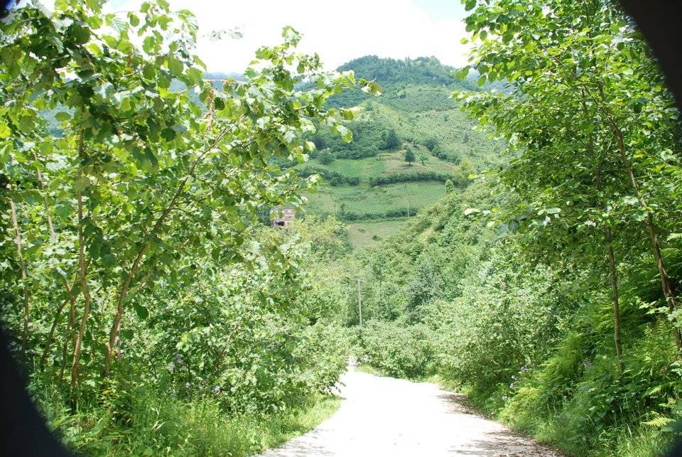 Doğankent Çatak Köyü Resimleri 35