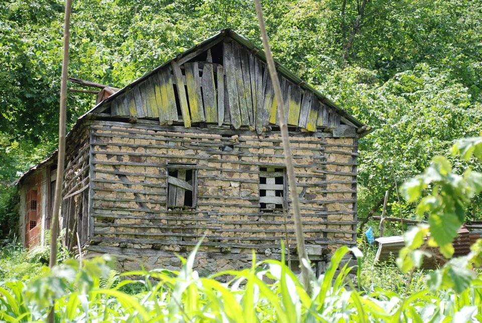 Doğankent Çatak Köyü Resimleri 36
