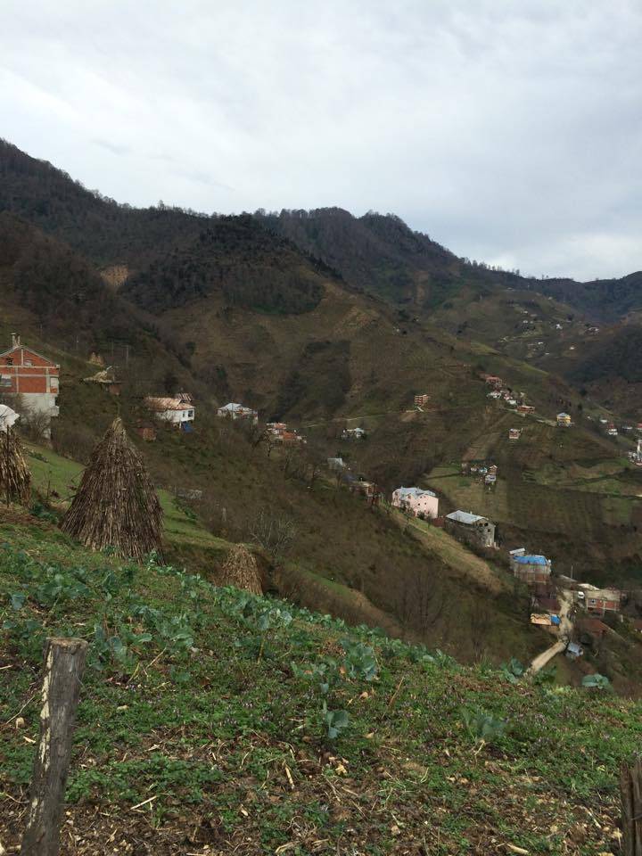 Doğankent Çatak Köyü Resimleri 9