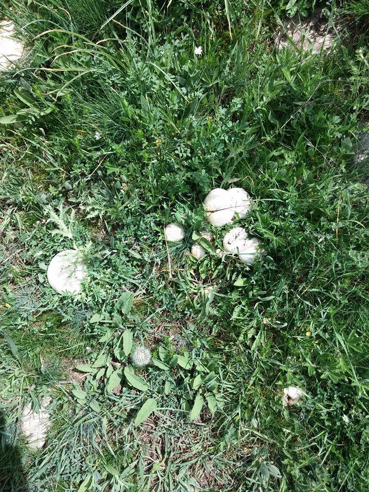 Sivas Çaygören Köyü Resimleri 5