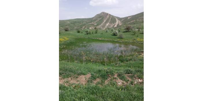 Sivas Çaygören Köyü Resimleri