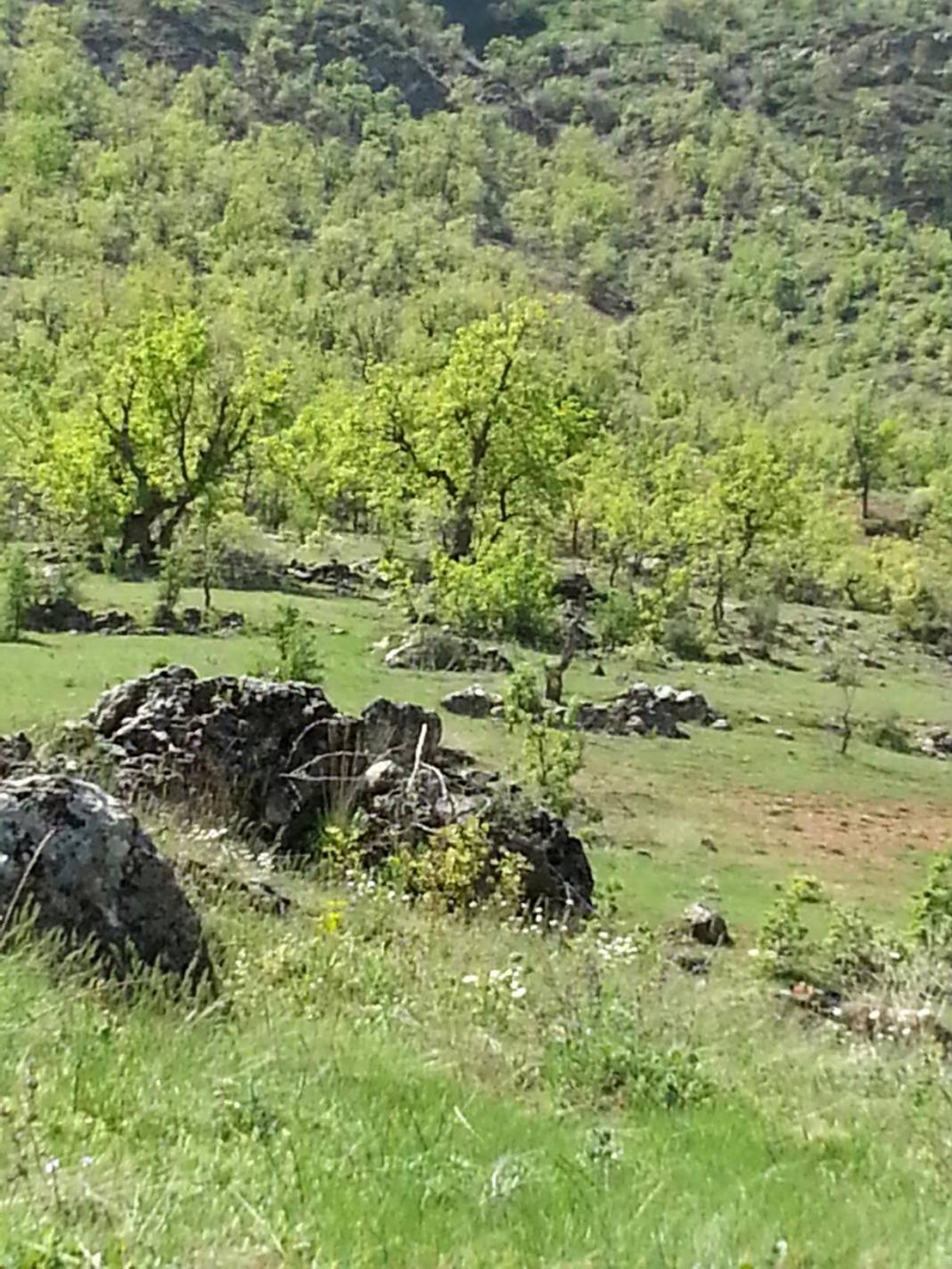 Eruh Akdiken Köyü Resimleri 1