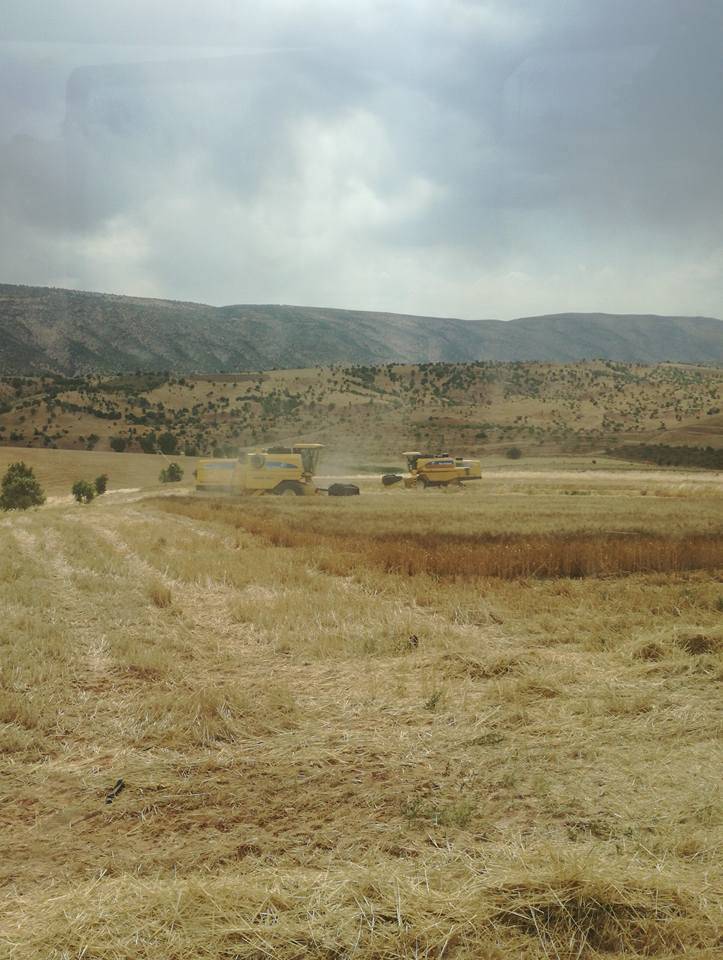 Eruh Bayramlı Köyü Resimleri 1