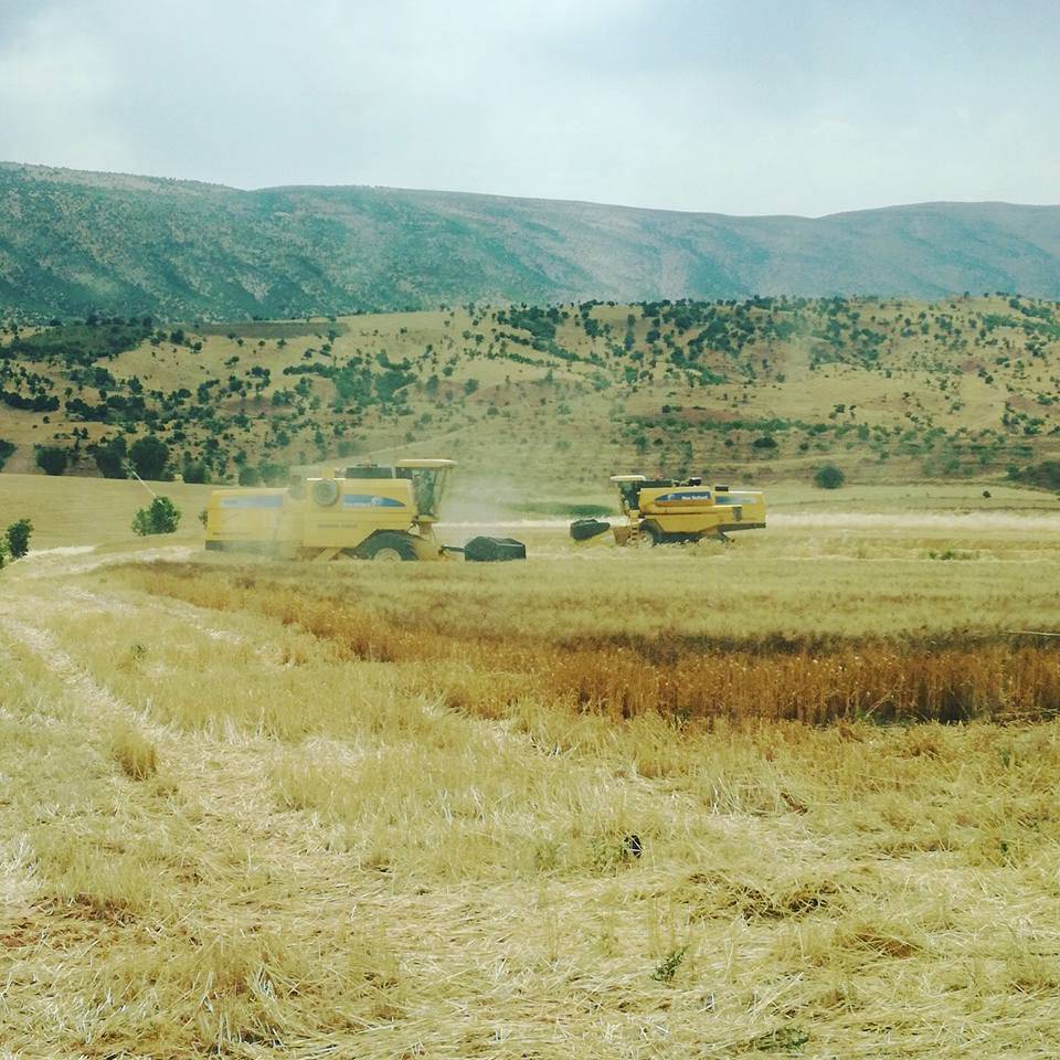 Eruh Bayramlı Köyü Resimleri 2