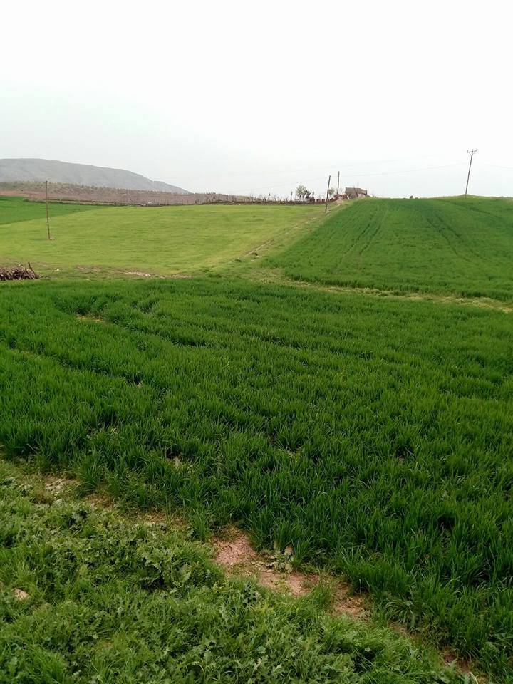 Eruh Bayramlı Köyü Resimleri 5