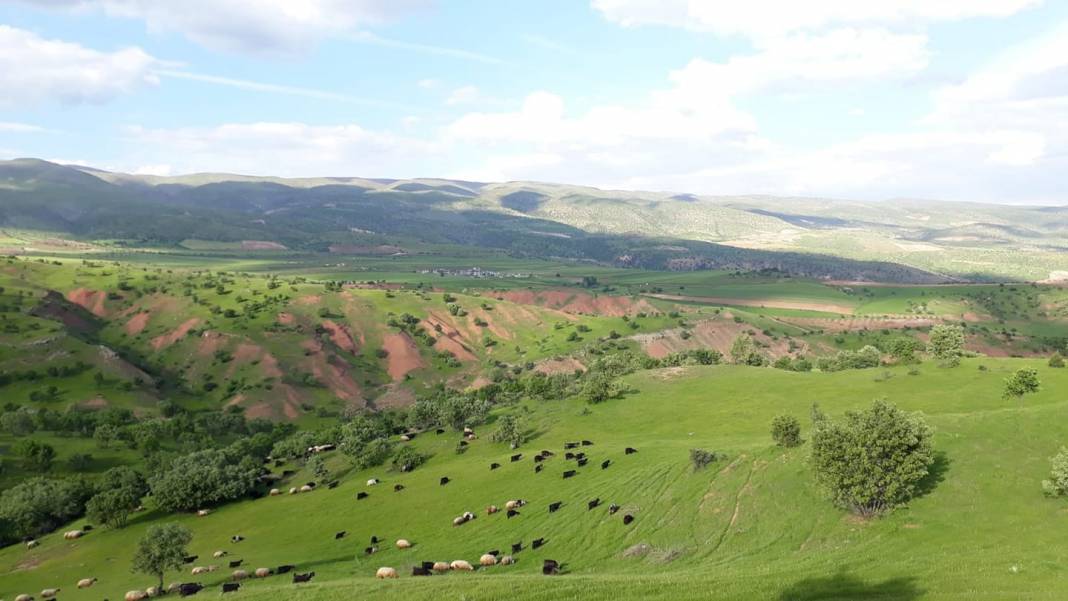 Eruh Bayramlı Köyü Resimleri 9