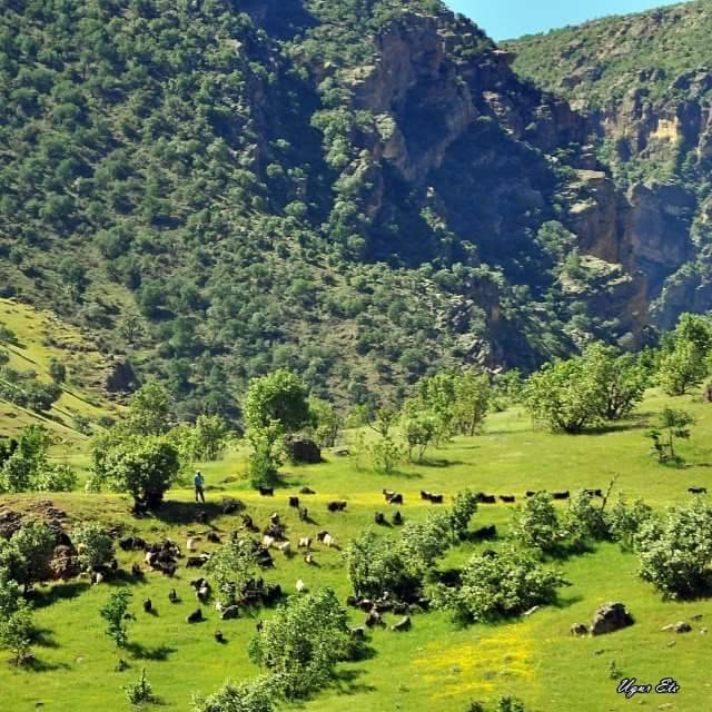 Eruh Bilgili Köyü Resimleri 10