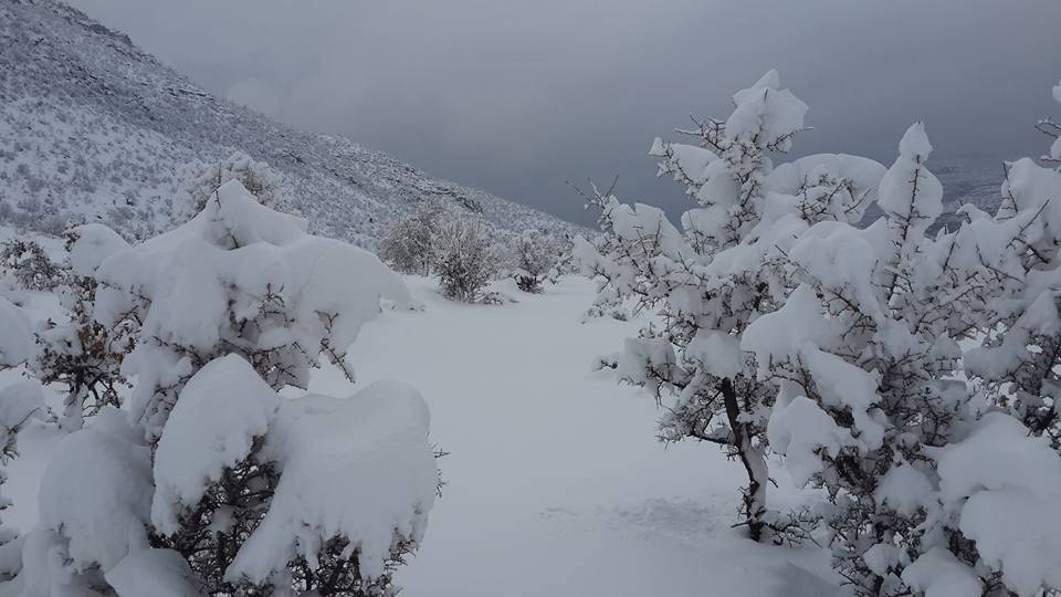 Eruh Bozatlı Köyü Resimleri 5
