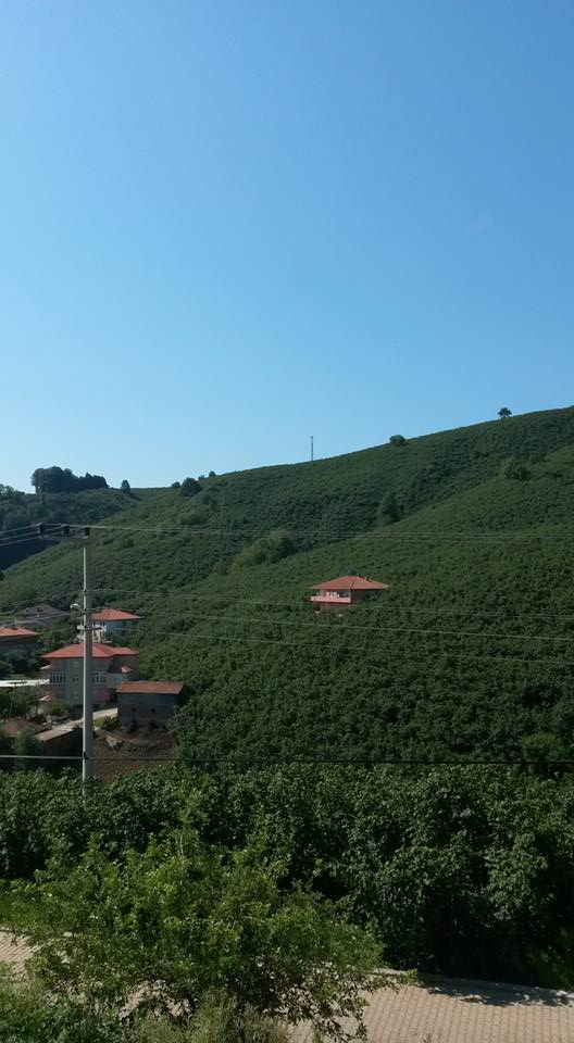 Karasu Kurudere Köyü Resimleri 9