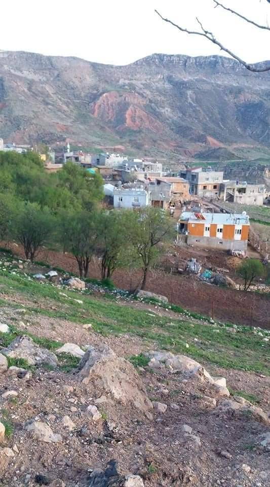 Eruh Cintepe Köyü Resimleri 4