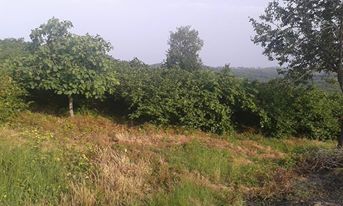 Karasu Taşlıgeçit Köyü Resimleri 4