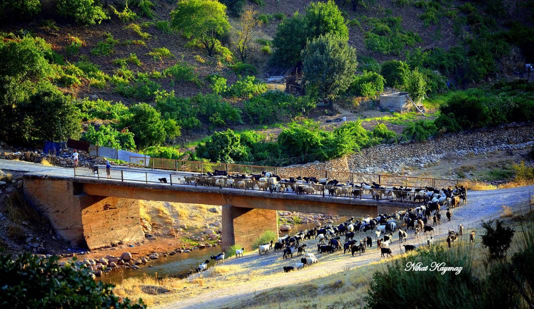 Eruh Dalkorur Köyü Resimleri 7