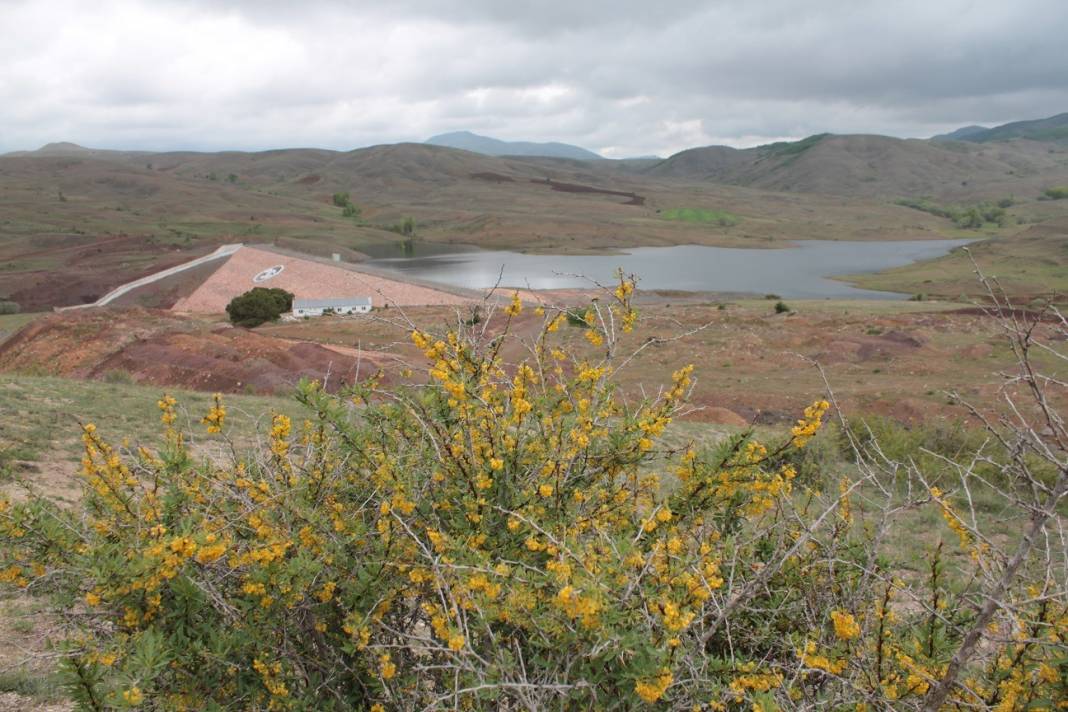 Sivas Çeltek Köyü Resimleri 4