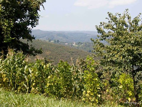 Karasu Kurumeşe Köyü Resimleri 1