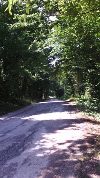 Karasu Kurumeşe Köyü Resimleri 5