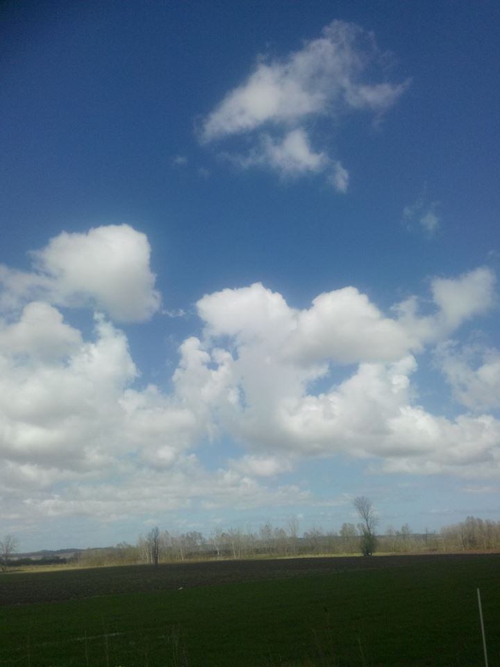 Karasu Kurumeşe Köyü Resimleri 7