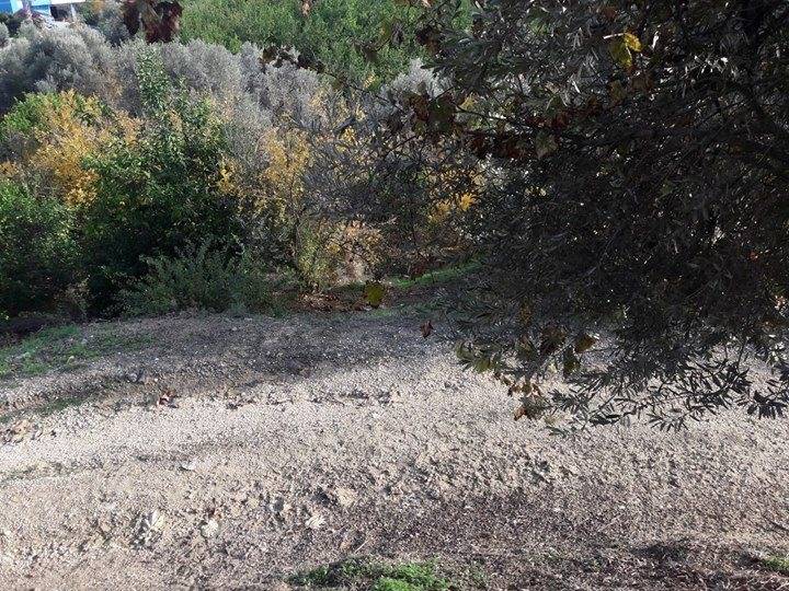 Mezitli Cumhuriyet Köyü Resimleri 6