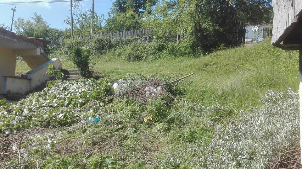 Karasu Tepetarla Köyü Resimleri 10