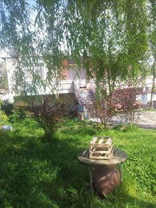 Karasu Tepetarla Köyü Resimleri 5