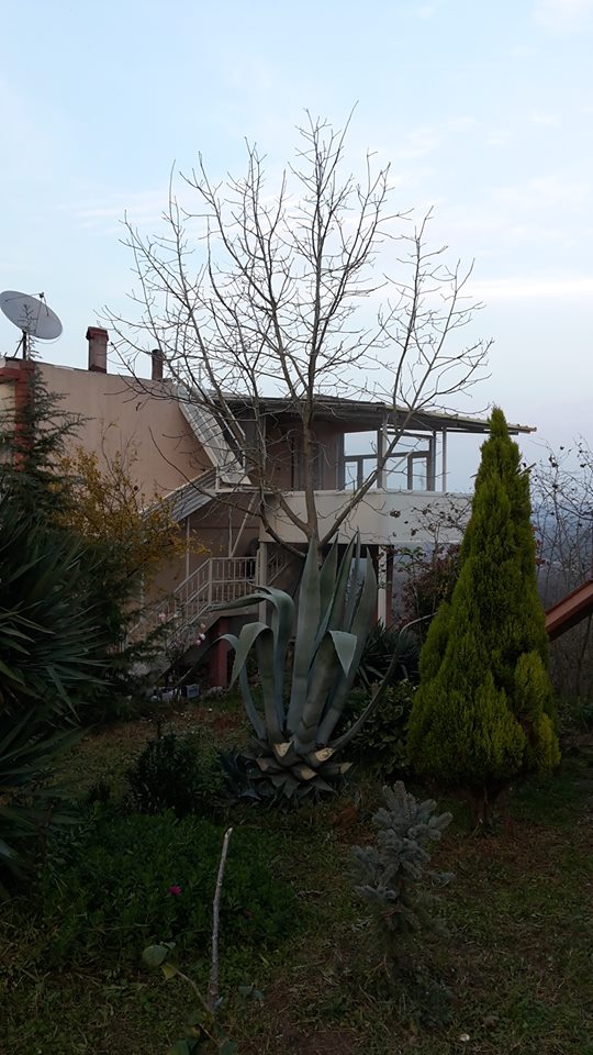 Karasu Tepetarla Köyü Resimleri 7