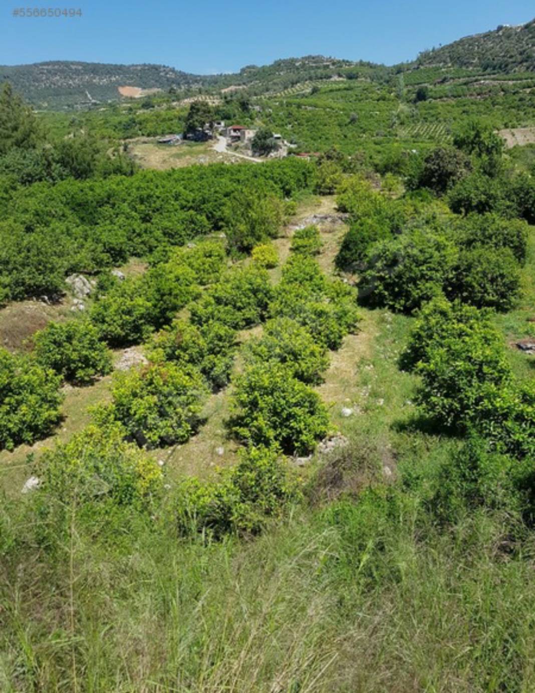 Mezitli Doğlu Köyü Resimleri 5