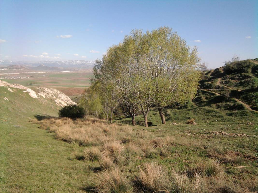 Sivas Dedeli Köyü Resimleri 3