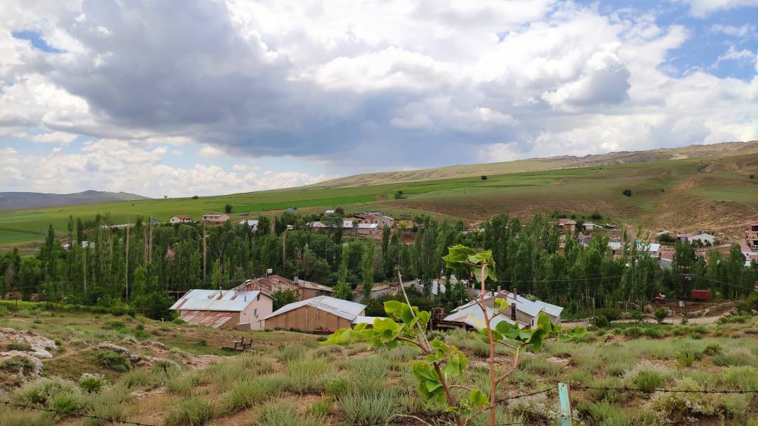 Sivas Dedeli Köyü Resimleri 6